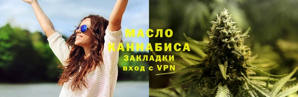гидра Бородино
