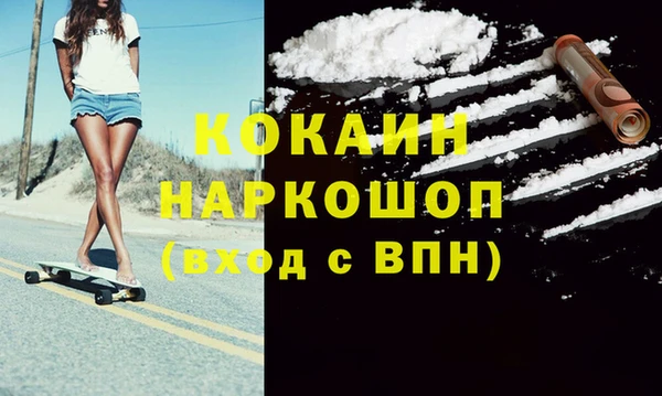 гидра Бородино