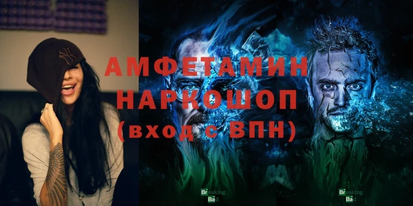 гидра Бородино