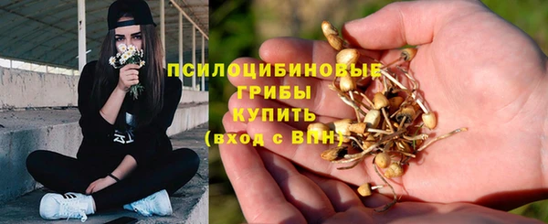 гидра Бородино