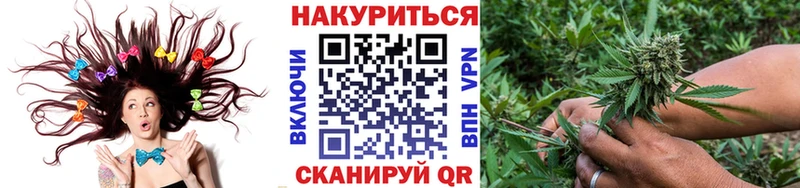 купить  цена  Дигора  ОМГ ОМГ вход  Бошки марихуана конопля 